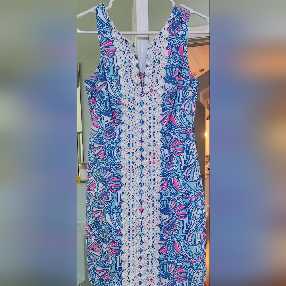 Lilly dress - like new!